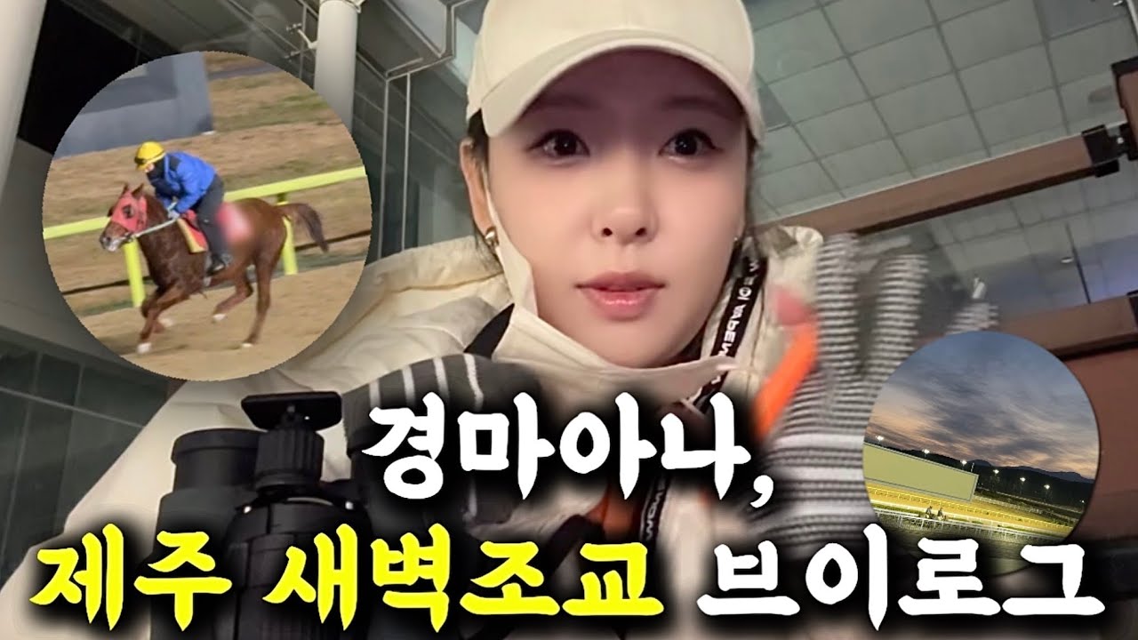 vlog | 제주 새벽조교 보고 왔습니다🍊🐴