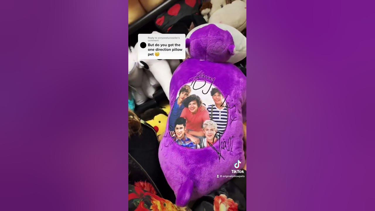 😱 Did you know we made a ONE DIRECTION Pillow Pet?! 😱 