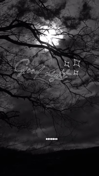Story WA - Selamat malam - Good night