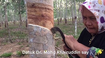 UHLB1112-Vlog 1: Interesting activities during Movement Control Order