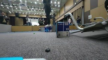 Robot vocal navigation, object recognition and grasping