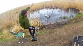видео: Эти Сазаны не давали нам покоя. Болото полное Рыбы. картинка: Эти Сазаны не давали нам покоя. Болото полное Рыбы.