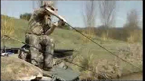 On The Bank With Jan Porter