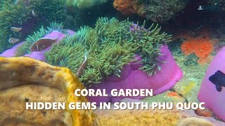 Chasing CORAL GARDEN, Phu Quoc Island, Vietnam | Soft-adventure Snorkeling screenshot 5
