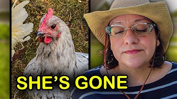 I made a huge mistake, and I knew better.