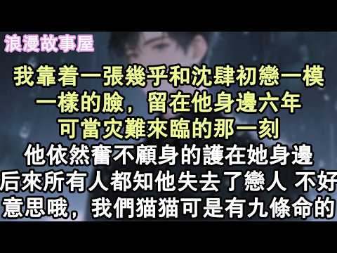 我靠著一張幾乎和沈肆初戀一模一樣的臉，留在他身邊六年。可當災難來臨的那一刻，他依然奮不顧身的護在她身邊。後來所有人都知他失去了戀人。不好意思哦，我們貓貓可是有九