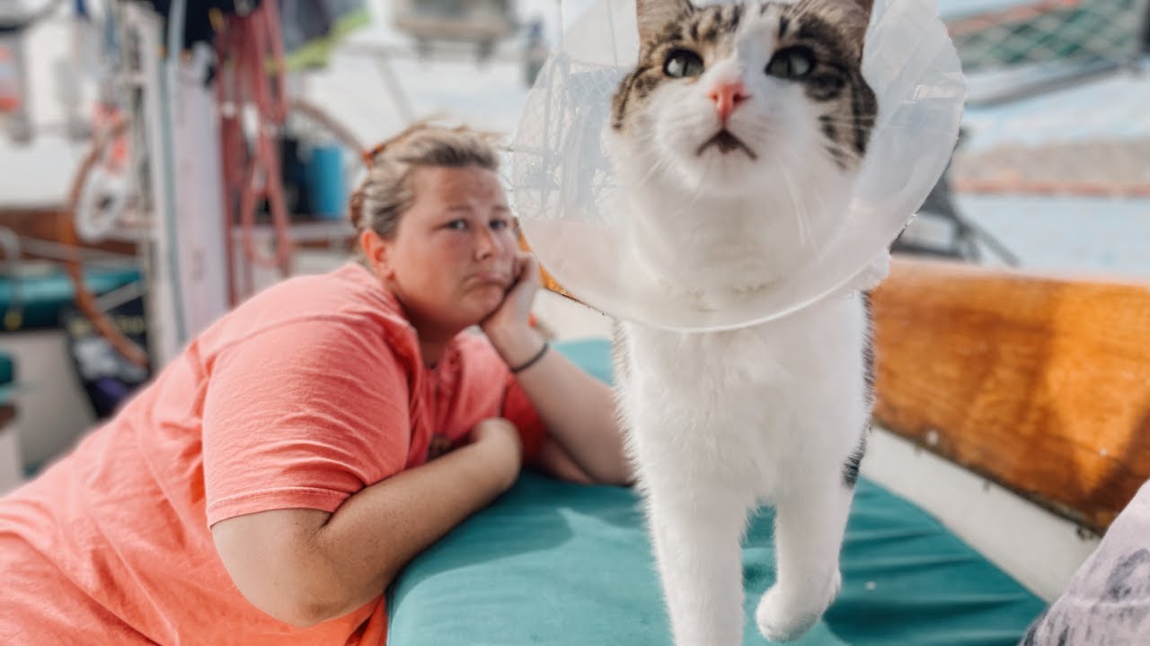 Emergency Vet Run For Our Seafaring Cat! - Sailing Tigerlily ep. 21