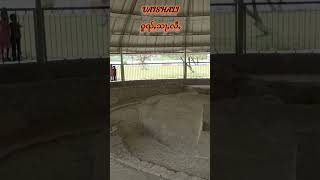 Vaishali Pavitra avshesh sthal #short #video #travel