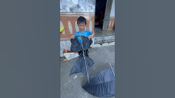 Cậu bé sở hữu nhiều diều sáo nhất Việt Nam..#youtubeshorts #kite #xuhuong #diều #youtube #vietnam