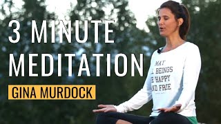 3-Minute Meditation for Grounding and Stress Relief | Gina Murdock