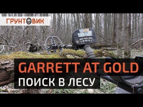 Поиск в лесу с AT Gold. Грунтовик