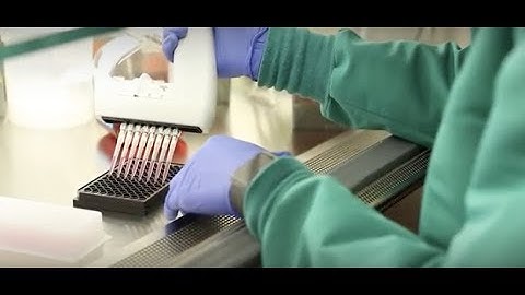 University of Michigan: Shea Lab