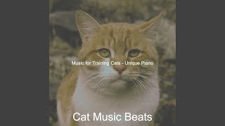 Modish Cats