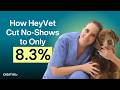 How an App is Helping HeyVet's Pet Parents Be Better Owners with Digitail