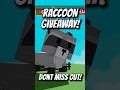 RACCOON GIVEAWAY! #roblox #growagarden #growagardengiveaway