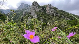 16.06.2023 Греция Гора Олимп Экскурсия Паралия Кафе Molos