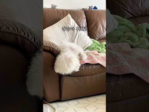 장남아 뭐해? #미친과학자 #shorts