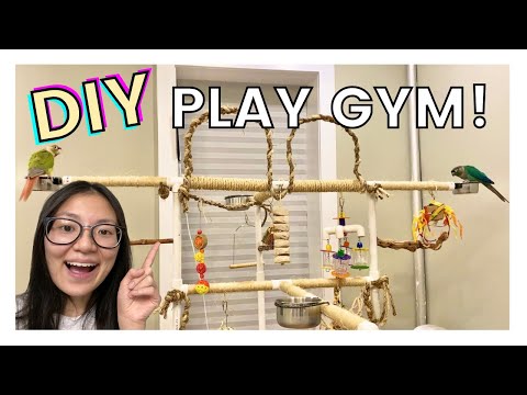 Video: How To Make A Parrot Playground