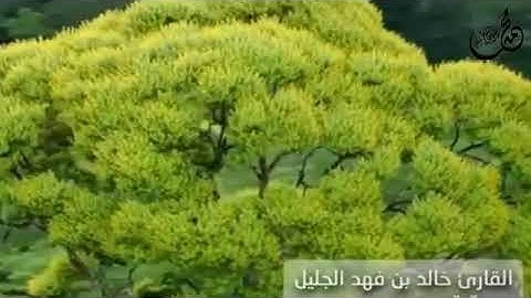 الشيخ خالد الجليل سورة ق