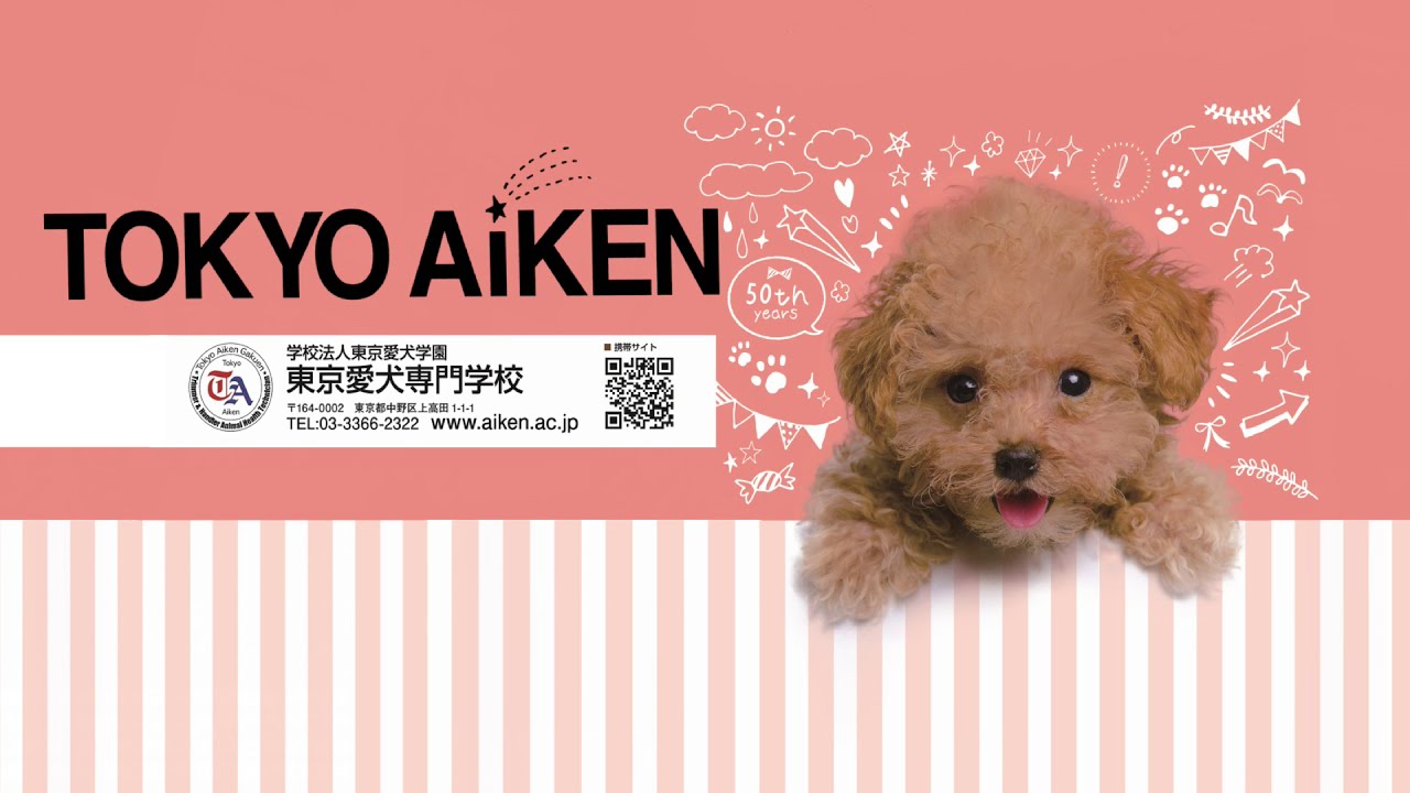 東京愛犬専門学校 Youtube
