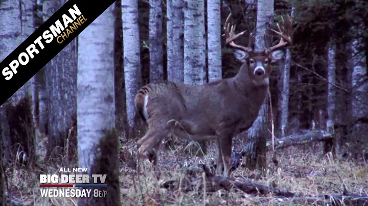 Big Deer TV-Hanback's Top Big Bucks