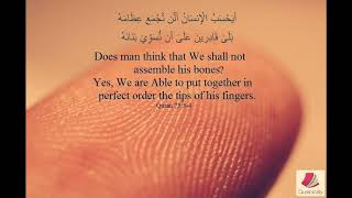 Surah Qiyamah (75), Verse 3-4