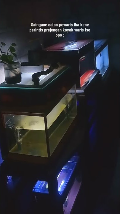 STORY WA CHANNA MARU TERBARU || STORY WA CHANNA || STORY WA LITERASI CHANNA || STORY WA CHANNA KEREN