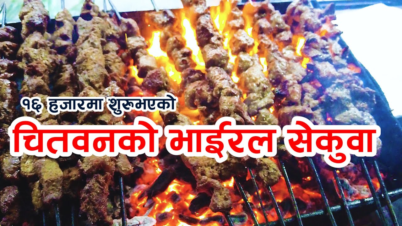 टिकटकमा भाईरल बरकाती होटल १६ हजारमा शुरु भएको रहेछ..क्या गज्जवको कहानी || Sekuwa in Chitwan