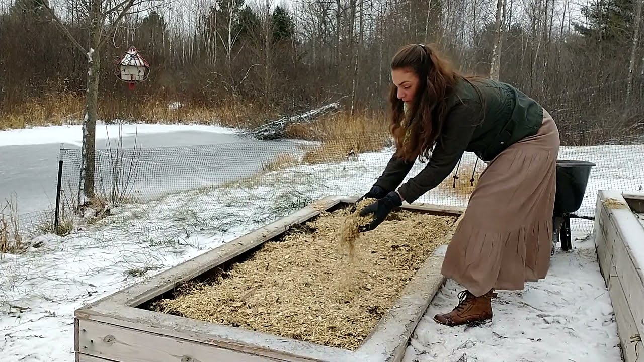 Planting garlic outside in mid Michigan