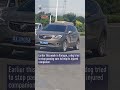 Loyal dog stops car to seek help for injured friend