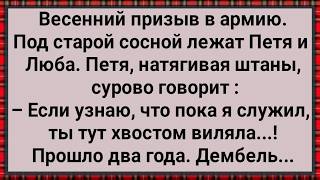 Как Люба Под Сосной Петю из Армии Ждала! Сборник Свежих Анекдотов! Юмор!