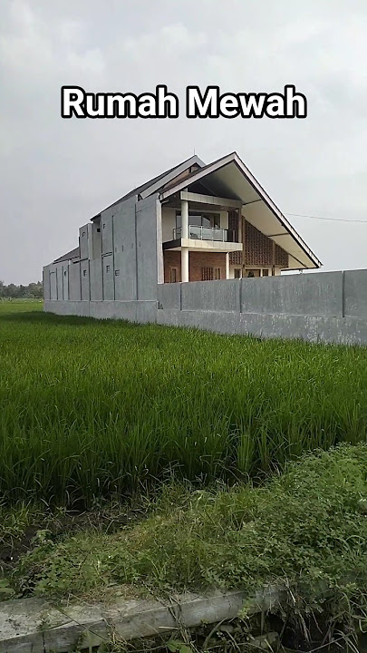 House in the middle of a luxurious rice field (near the rice field) #rice field #house #countrysi...