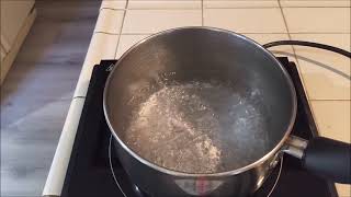 Countertop Induction Cooker Test @yuandrew