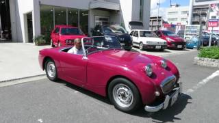 オースチン ヒーレー スプライト MK－1｜輸入車・中古車のGOOD