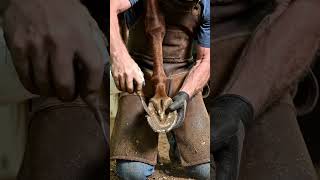 Rainy days demand extra hoof care. #hoofcare #farrierlife #satisfying