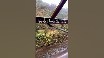 ان الله يغفر الذنوب جميعا سورة الزمر.      ماهر المعيقلي حلات واتس اب #راحة_نفسية #لايك