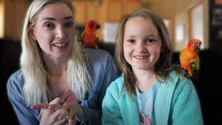 All About Sun Conures! (Can You Handle The Noise?!)