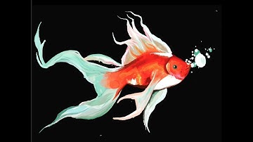 Digital Art Procreate Koi fish Time lapse
