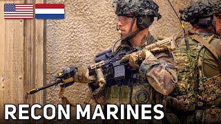 Dutch Recon Marines | CQB, Reconnaissance, and Urban Warrior (MOUT) Training