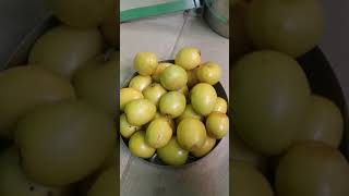 पणडत करणश पडय एमप बर, य बर, खन क फयद