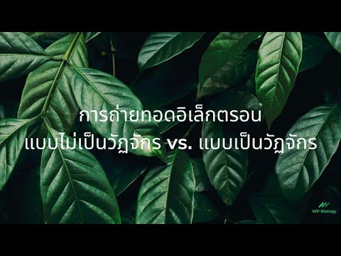 วีดีโอ: อะไรคือความแตกต่างระหว่างการถ่ายทอดแบบทั่วไปและแบบพิเศษ?