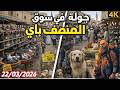 جولة في سوق منصف باي للحيوانات 22 03 2026 Moncef Bay Animal