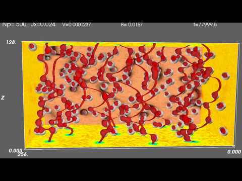 Magnetic vortices in