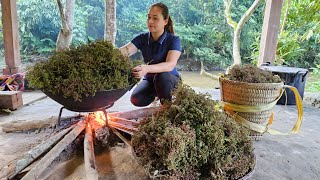 Harvesting Process Pepper & Production Ground Pepper Goes to market sell - COOKING WITH DOG