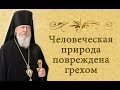 "Человеческая природа повреждена грехом"