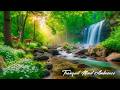 Deep Sleep Music for Anxiety Relief 🌿 Healing Piano &amp; Calm Forest Sounds