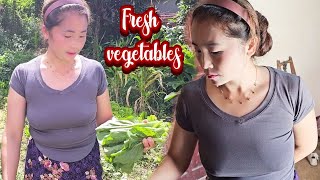 Mom gets fresh vegetables for lunch (ຜັກປອດສານຜິດ)