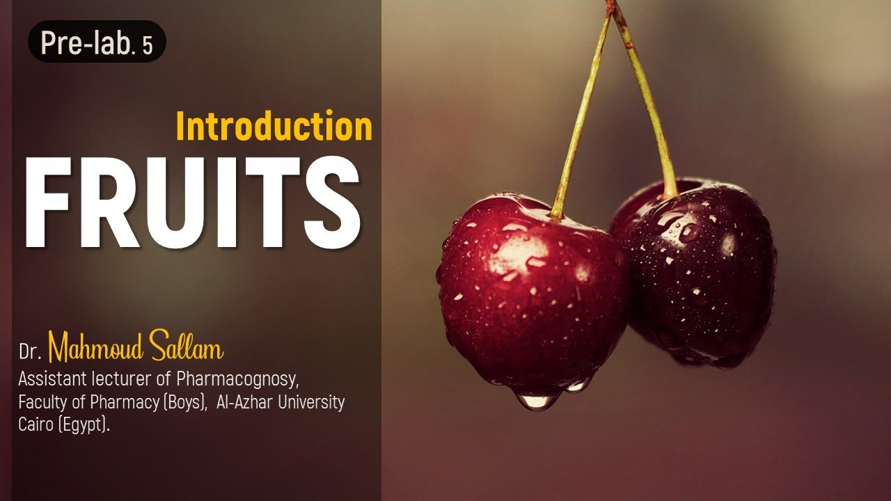 Pharmacognosy 1 (Fruits ) : Introduction