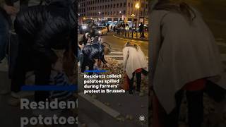 Residents collect potatoes spilled during farmers' protest in Brussels
