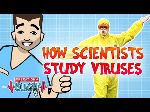 How Scientists Study Viruses
